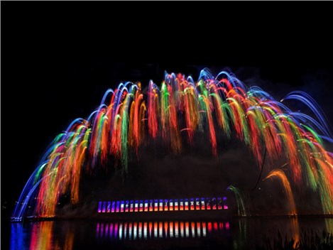 Fireworks at the opening ceremony of the 13th China Liuyang International Fireworks Festival