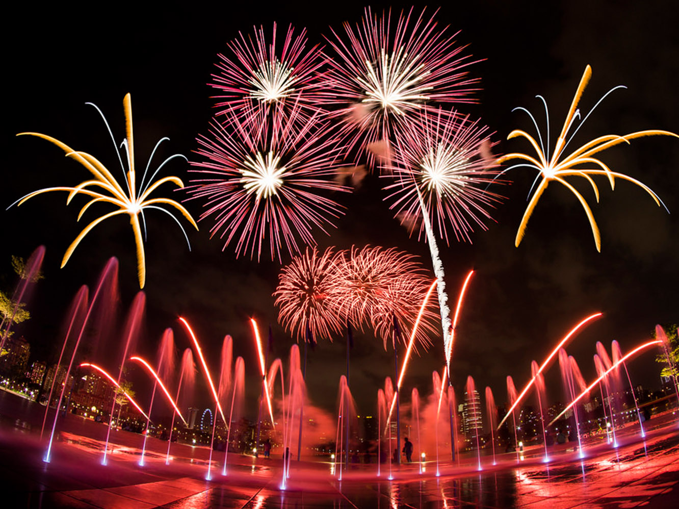 2015年新加坡第二十八届东南亚运动会